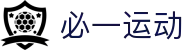 必一(运动科技有限公司)官方网站-B·Sport